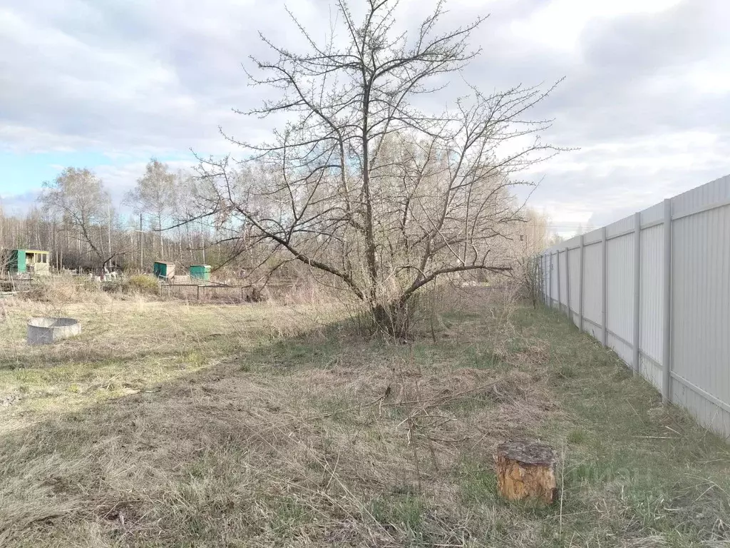 Участок в Челябинская область, Копейск Березка-4 СНТ,  (8.0 сот.) - Фото 2