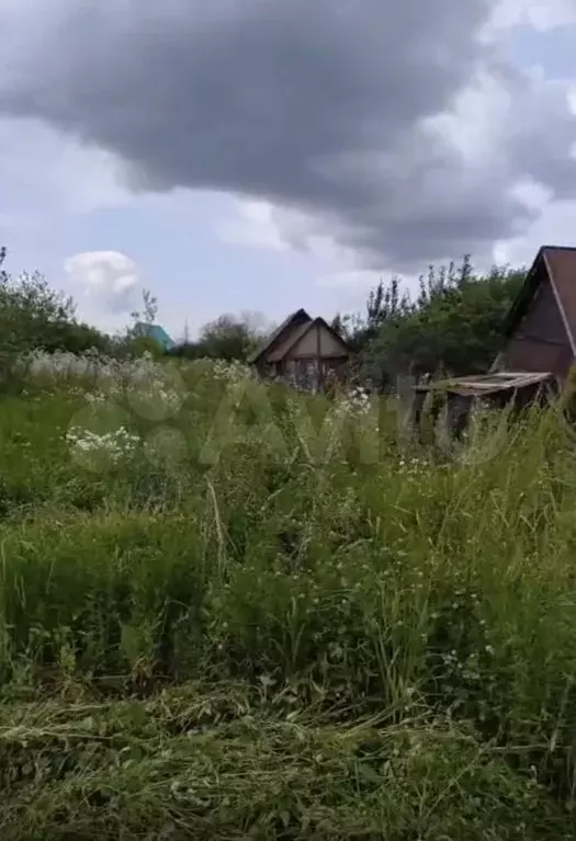 Участок 4,8 сот. (СНТ, ДНП) - Фото 1