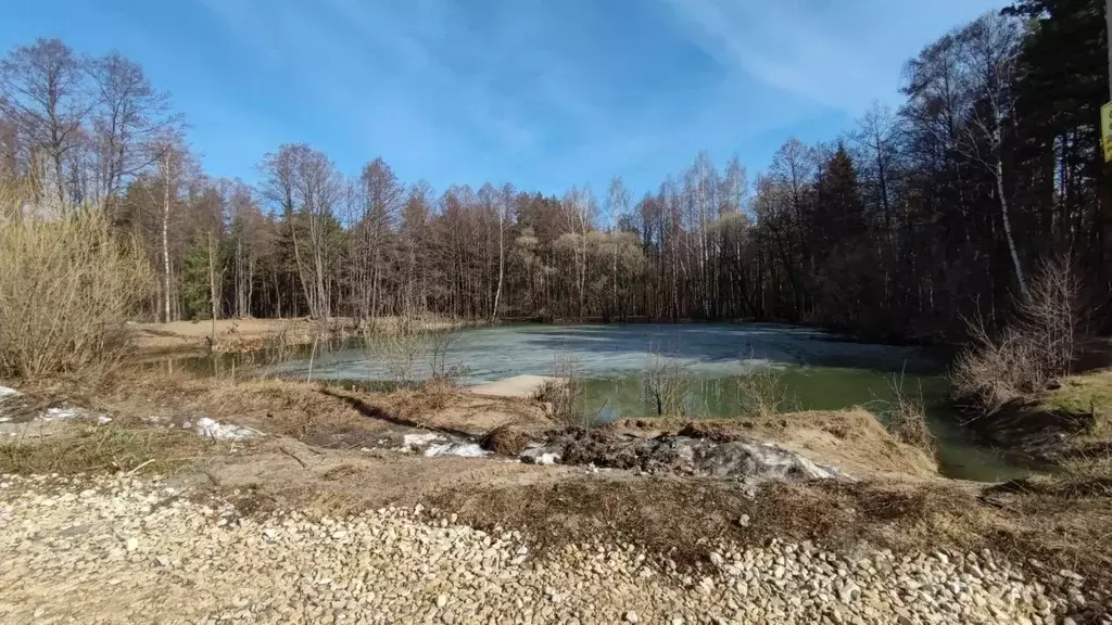 Участок в Владимирская область, Судогодский район, Вяткинское ... - Фото 0