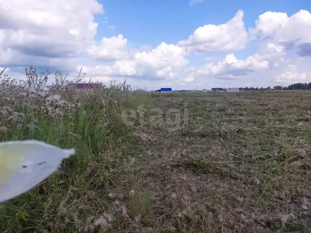 Участок в село Доброе, микрорайон Молодёжный (10 м) - Фото 2