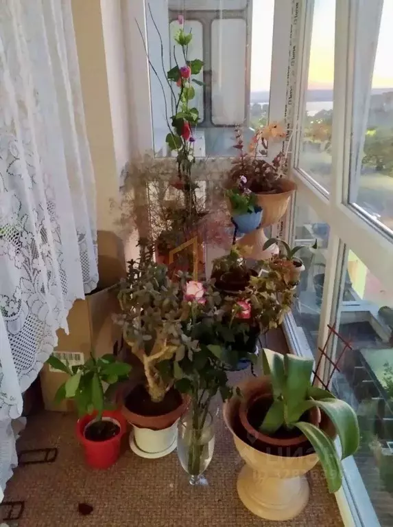 2-к кв. Крым, Евпатория городской округ, Новоозерное пгт ул. ... - Фото 2