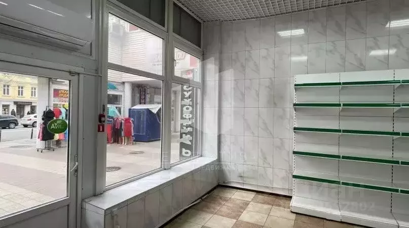 Помещение свободного назначения в Краснодарский край, Новороссийск ул. ... - Фото 2