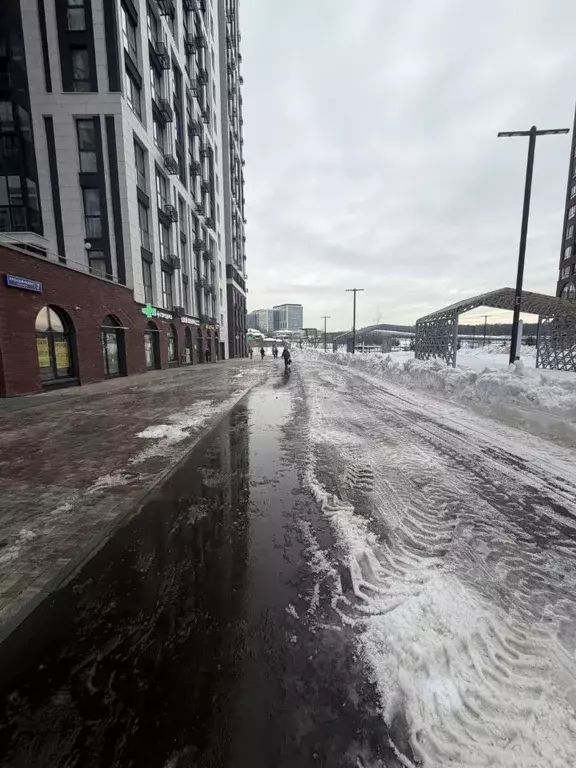 Помещение свободного назначения в Москва просп. Прокшинский, 7 (114 м) - Фото 2