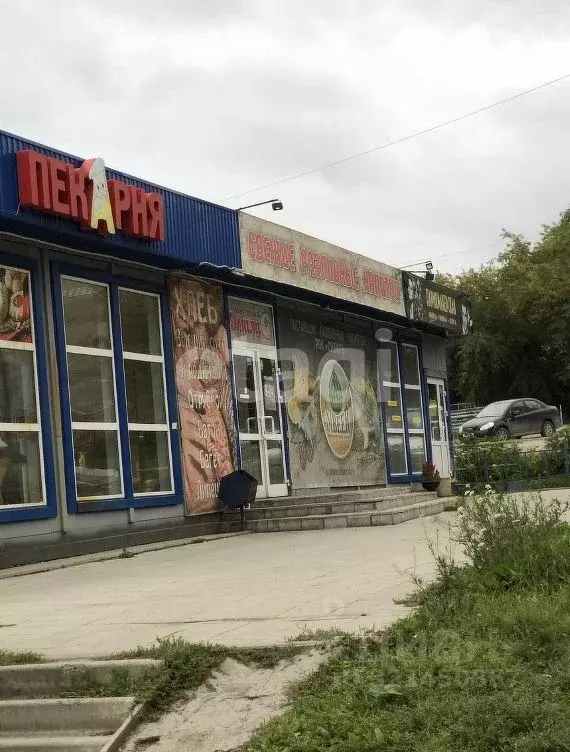 Помещение свободного назначения в Новосибирская область, Новосибирск ... - Фото 1