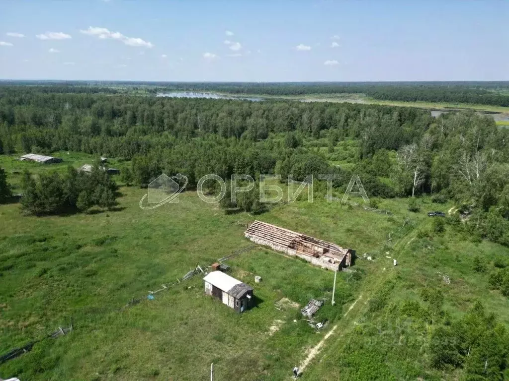 Участок в Тюменская область, Тюменский район, д. Головина Береговая ... - Фото 0