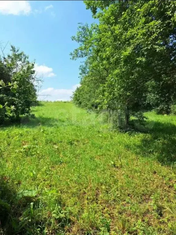 Участок в Калужская область, Ферзиковский муниципальный округ, Красный ... - Фото 2