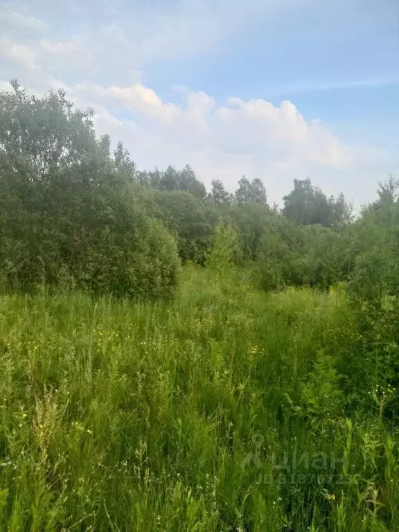 Участок в Московская область, Орехово-Зуевский городской округ, д. ... - Фото 1