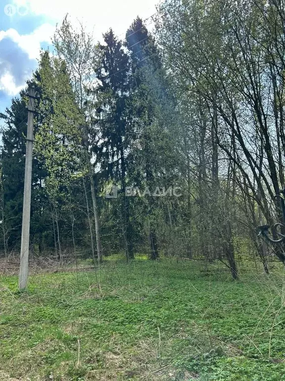 Участок в деревня Бородки, посёлок Грибово (20 м) - Фото 1
