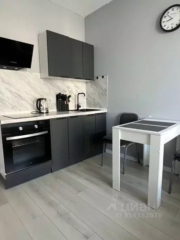 Студия Ленинградская область, Кудрово г. Всеволожский район, Заневское ... - Фото 2