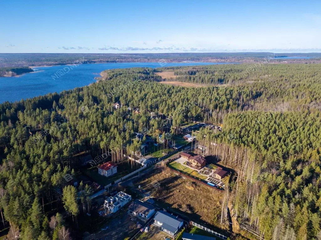 Участок в Ленинградская область, Всеволожский район, Куйвозовское ... - Фото 1