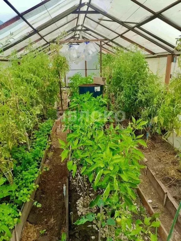 Дом в Пермский край, Березники № 43 СНТ, 41 (10 м) - Фото 1