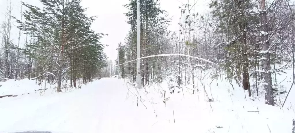 участок в томская область, томск пос. родионово, ул. радуница (15.82 . - Фото 0