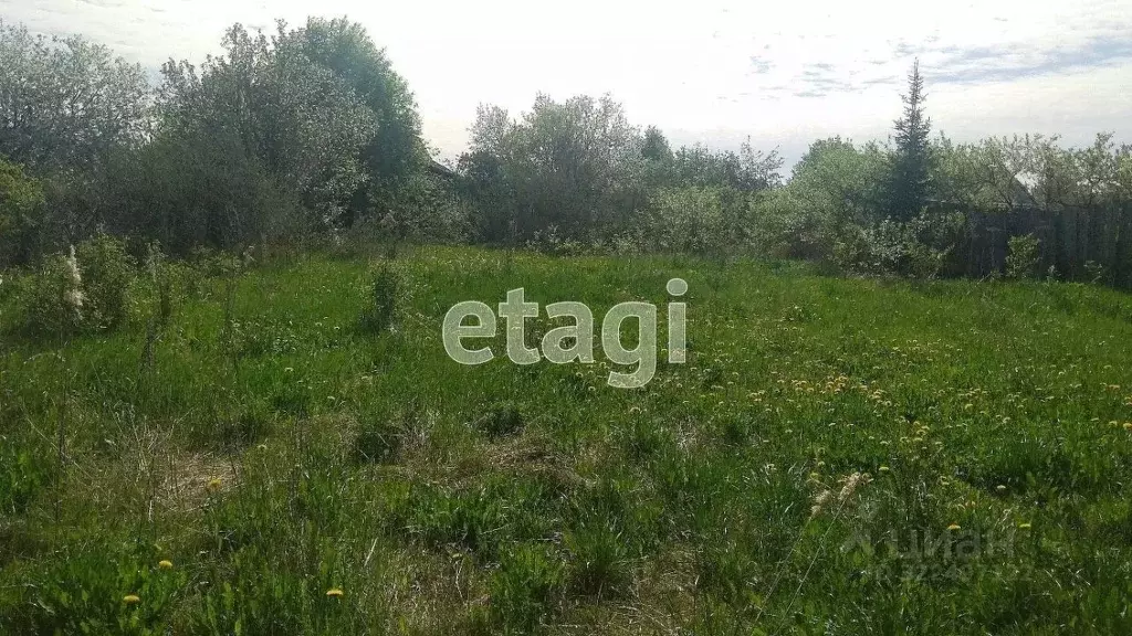 Участок в Вологодская область, Ручеек-91 СТ  (10.53 сот.) - Фото 1