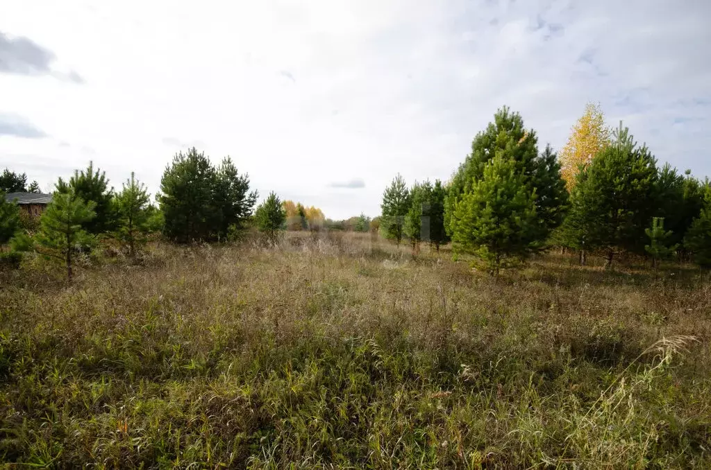 Участок в Заводоуковск, СНТ Раздолье (15 м) - Фото 2