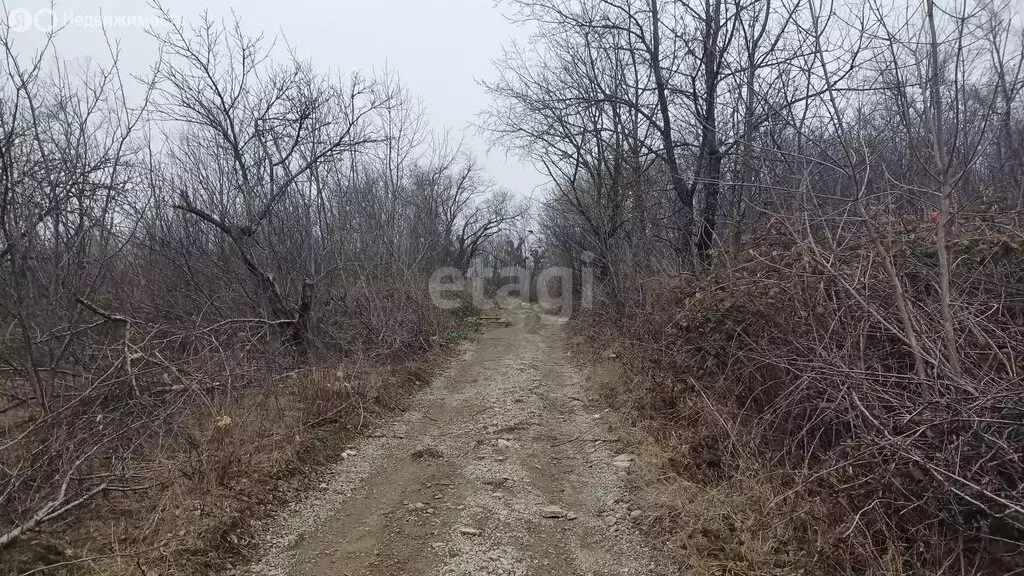 Участок в Ставрополь, садовое товарищество Кавказ, 247А (3 м) - Фото 1