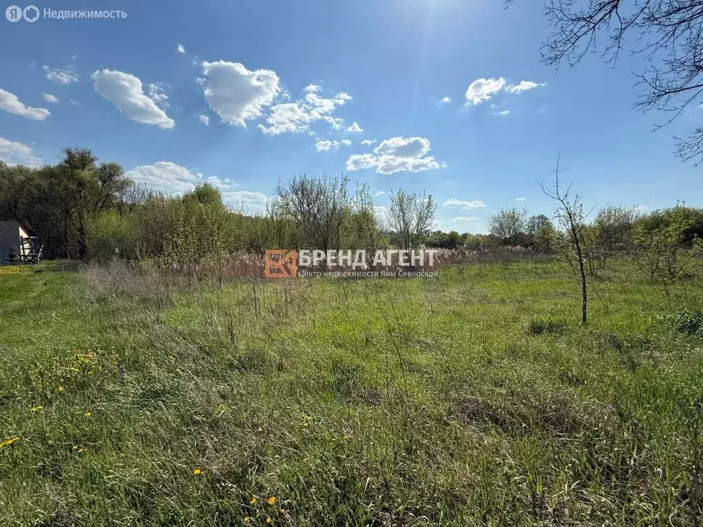 Участок в село Шопино, Зелёная улица, 13 (15 м) - Фото 2
