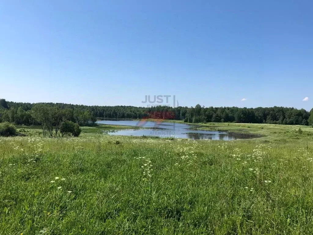 Участок в Ярославская область, Ростовский муниципальный округ, ... - Фото 0