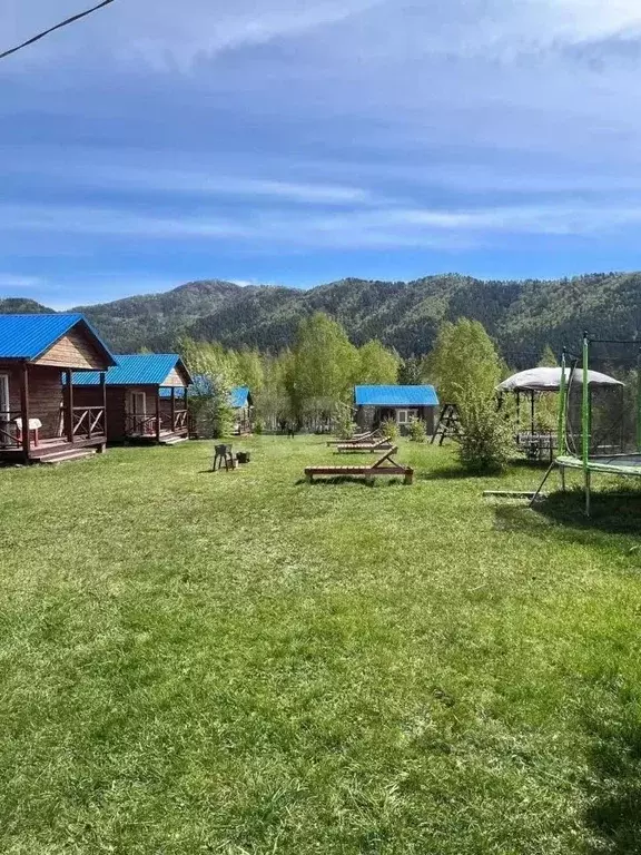 Участок в Алтай, Чемальский район, Аносинское с/пос, Алтай Рест тер.  ... - Фото 1