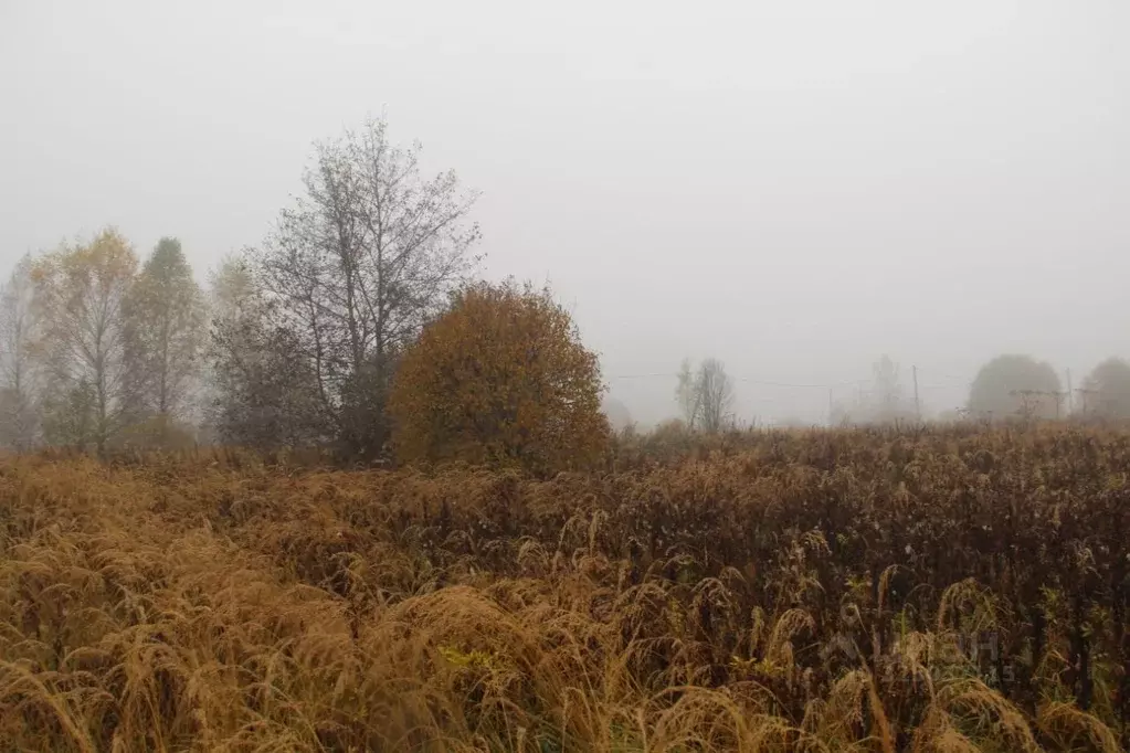 Участок в Московская область, Шаховская муниципальный округ, д. ... - Фото 1