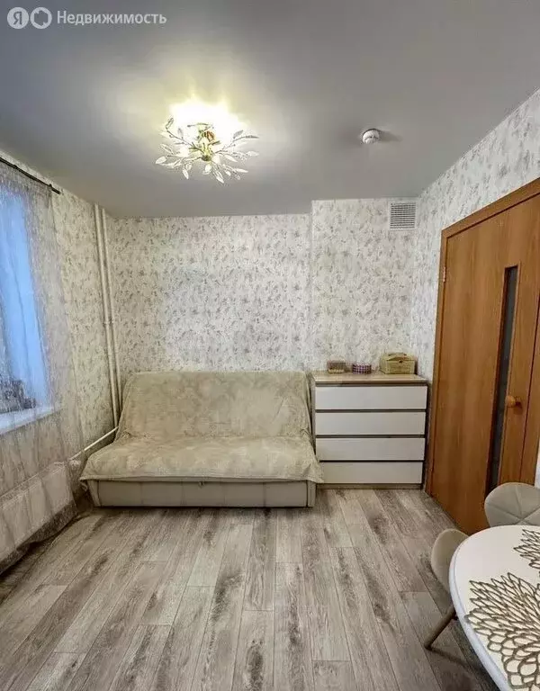 Квартира-студия: село Фролы, Весенняя улица, 38/1 (23.7 м) - Фото 1