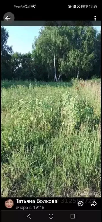 Участок в Владимирская область, Суздальский район, с. Новоалександрово ... - Фото 0