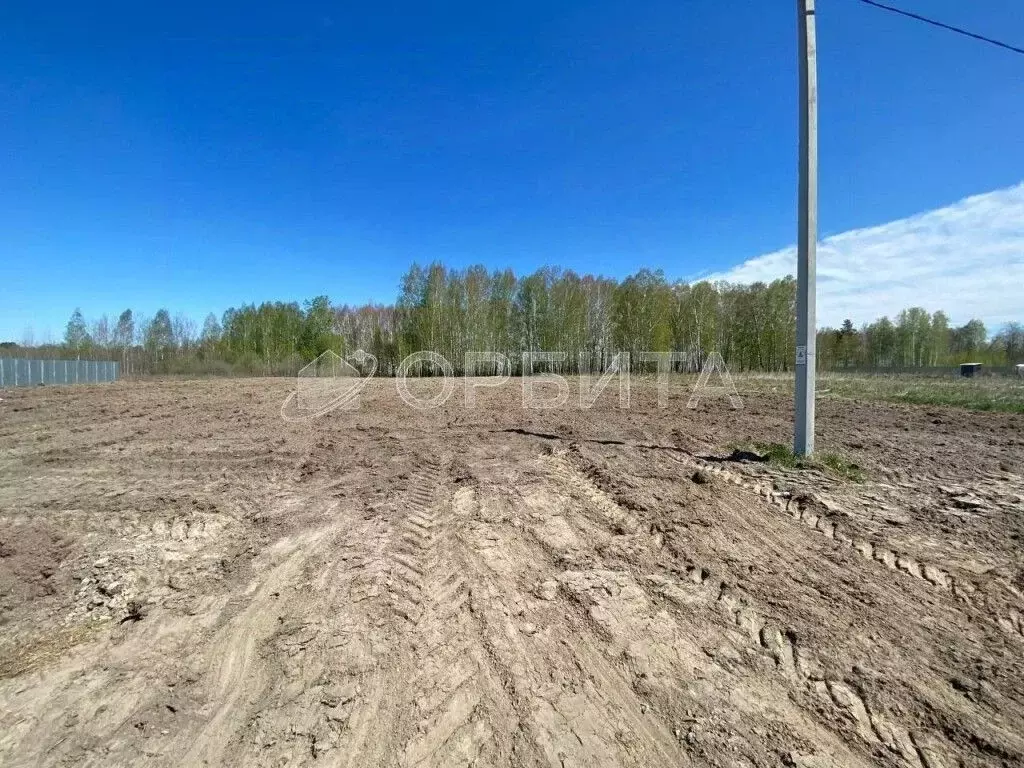 Участок в Тюменская область, Тюменский район, с. Борки  (50.0 сот.) - Фото 2