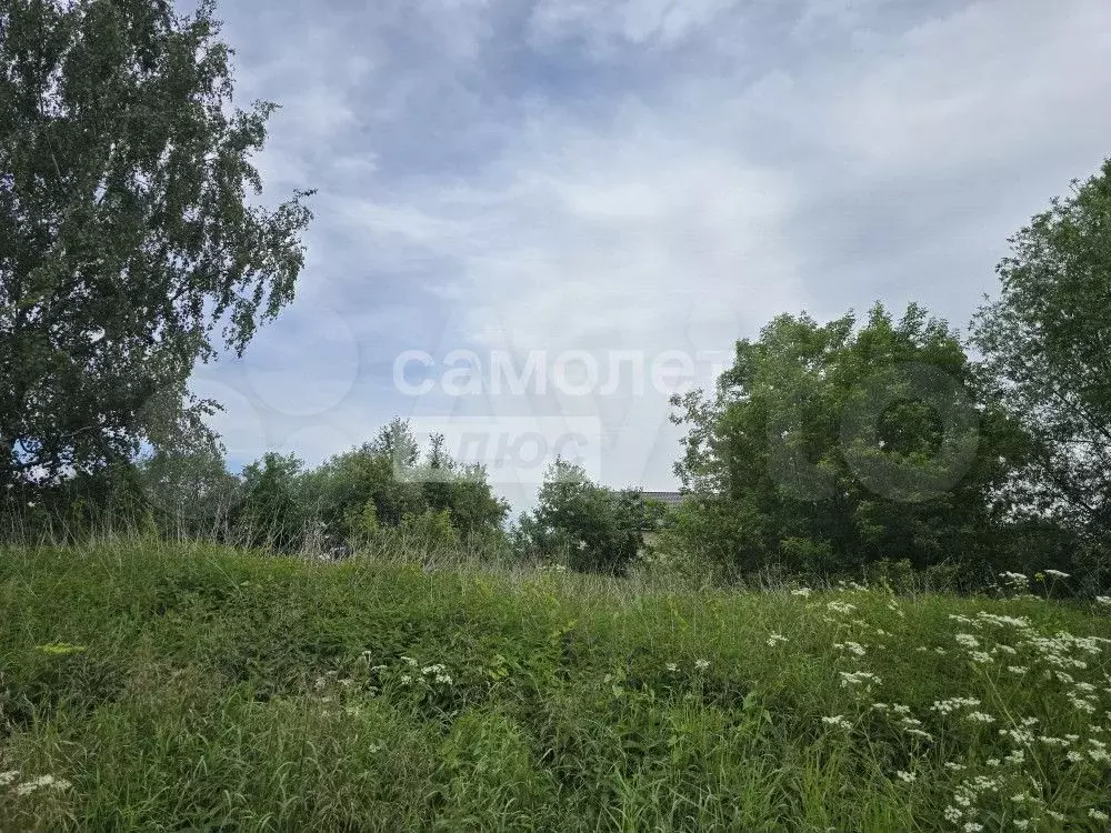 Участок 20 сот. (ИЖС) - Фото 1