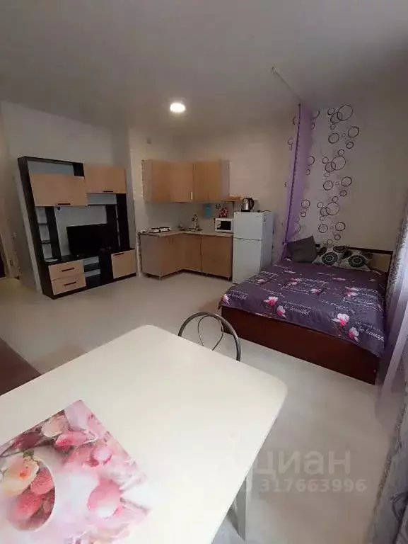 Студия Краснодарский край, Анапа Анапское ш., 24к2 (26.0 м) - Фото 0