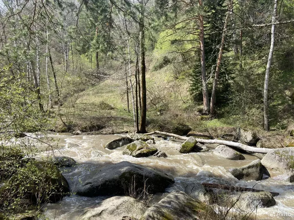 Участок в Алтайский край, Белокуриха ул. Высоцкого (10.0 сот.) - Фото 0