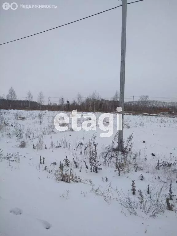 Участок в Ишимский район, село Гагарино (15.02 м) - Фото 1