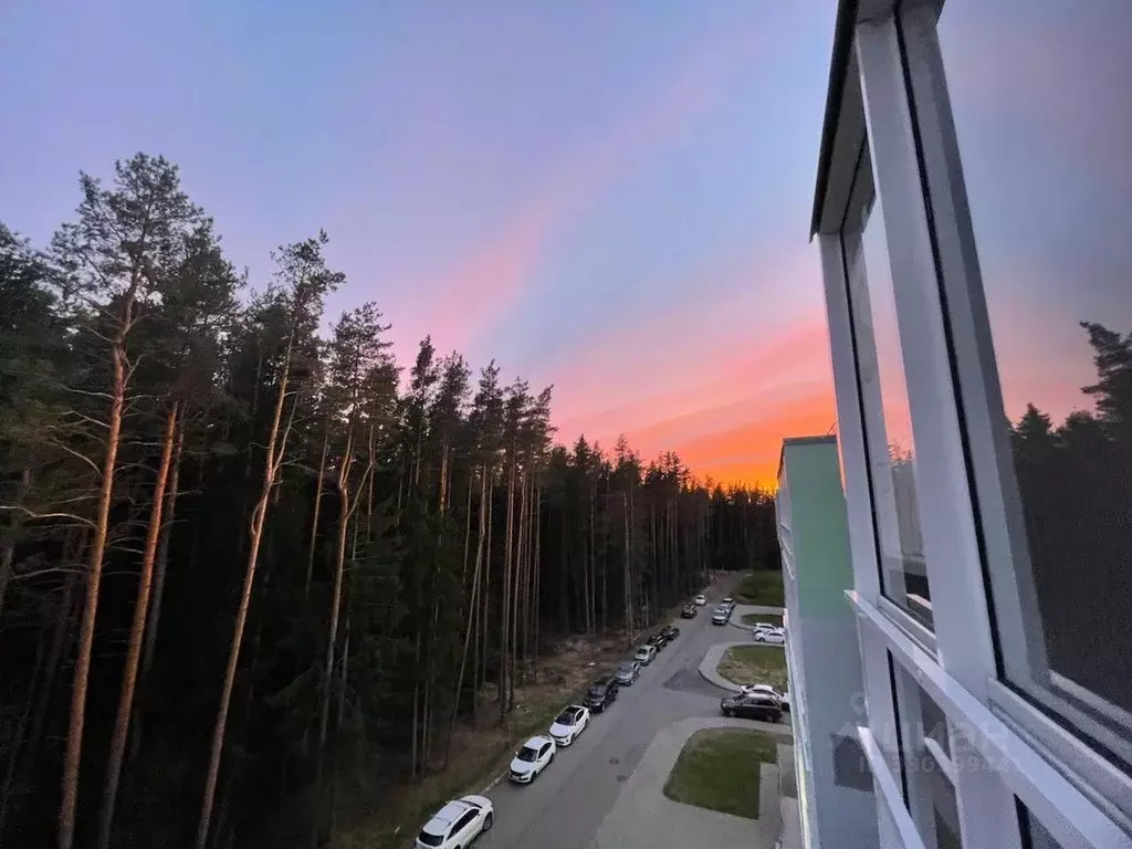 3-к кв. Санкт-Петербург, Санкт-Петербург, Зеленогорск ул. Строителей, ... - Фото 1