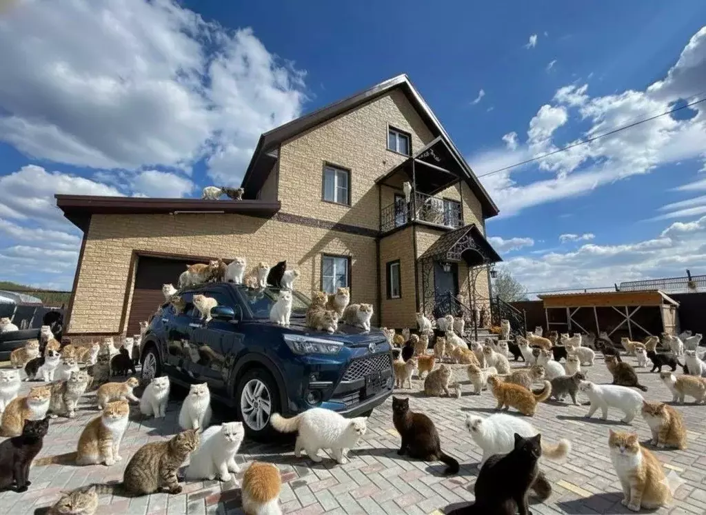 Коттедж в Свердловская область, Полевской Зеленая ул., 2 (237 м) - Фото 1