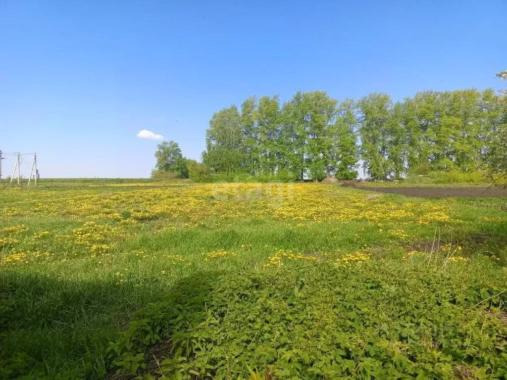 Дом в Башкортостан, Стерлитамак Советская ул. (103 м) - Фото 0