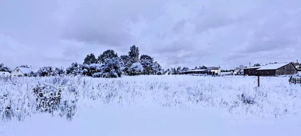 Участок в Смоленская область, Смоленский муниципальный округ, д. ... - Фото 1