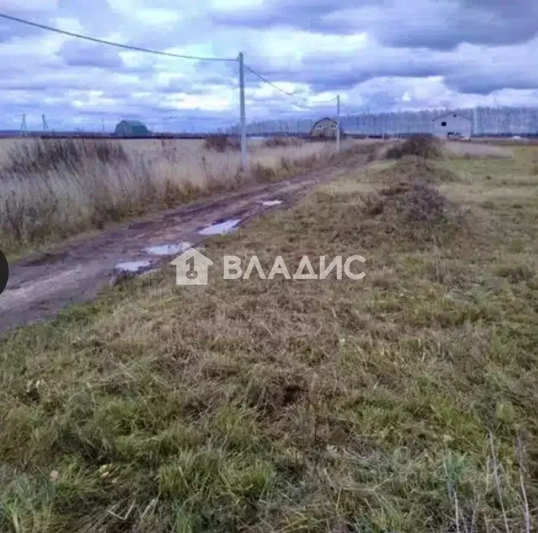Участок в Нижегородская область, Богородский муниципальный округ, ... - Фото 1