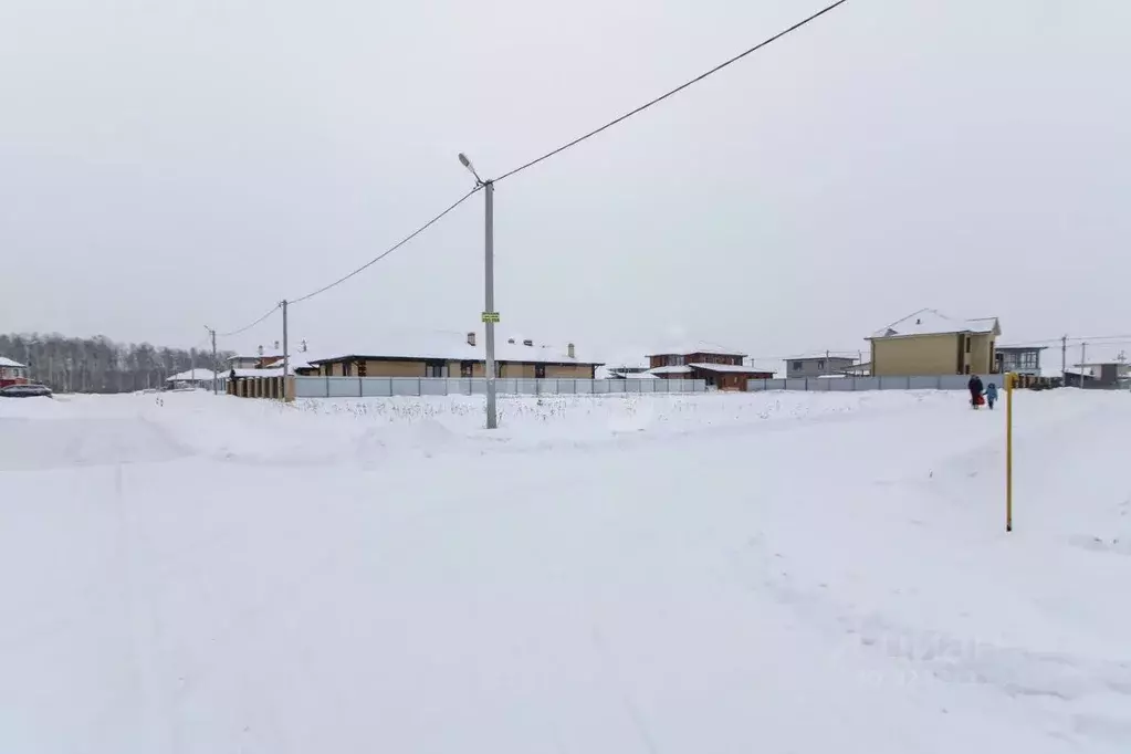 Участок в Тюменская область, Тюменский муниципальный округ, с. Луговое ... - Фото 1