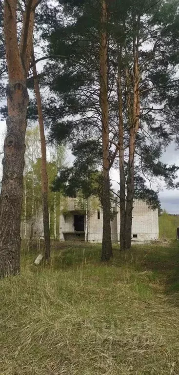 Участок в Тверская область, Тверь пос. Черкассы, ул. Окольная, 36 ... - Фото 1