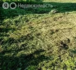 Участок в Кемерово, улица Лутугина (14 м) - Фото 0