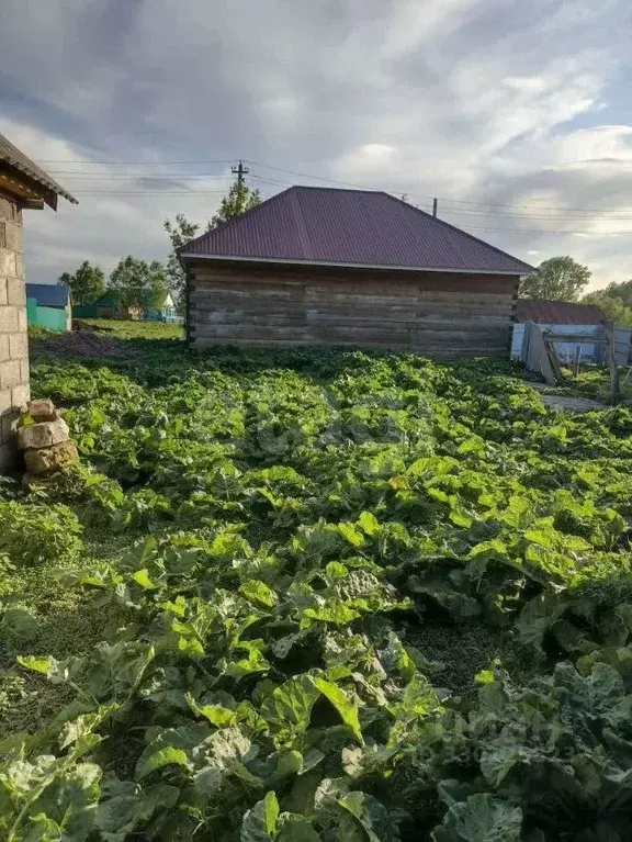 Дом в Оренбургская область, Пономаревский район, с. Ключевка Школьная ... - Фото 1