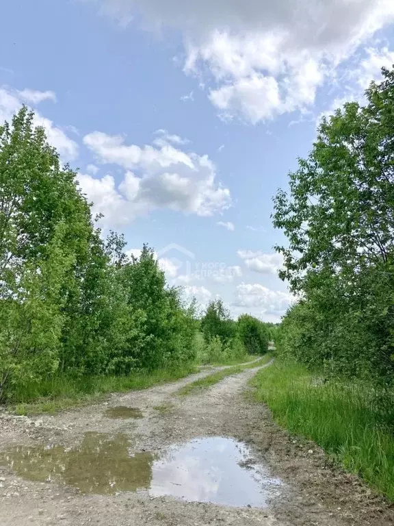 Участок в Ленинградская область, Ломоносовский район, Лопухинское ... - Фото 0