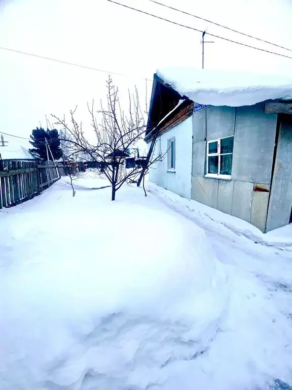 Дом в село Безруково, Луговая улица, 16/1 (49.8 м) - Фото 0