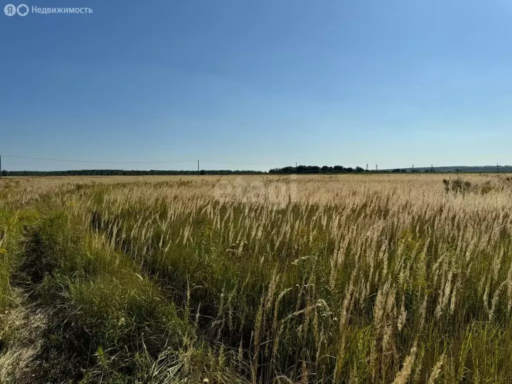 участок в суворовский район, муниципальное образование . - Фото 0