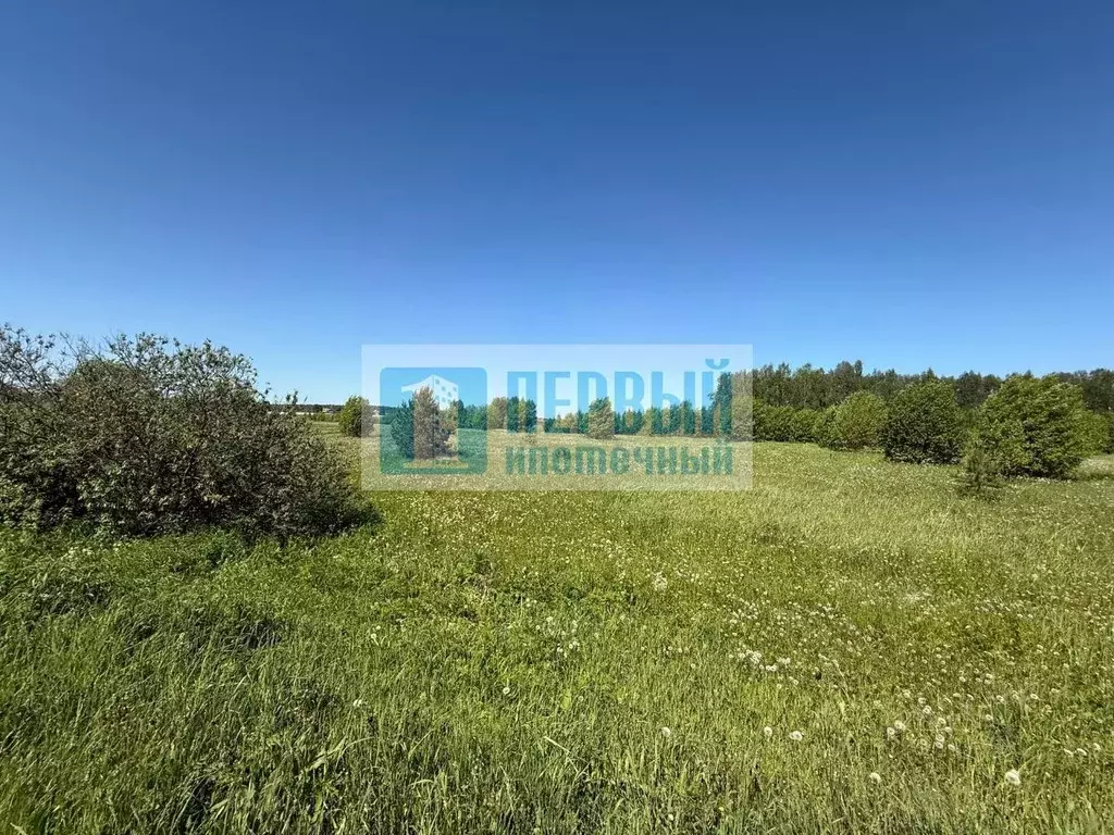 Участок в Марий Эл, Медведевский район, Нурминское с/пос, с. Нурма ул. ... - Фото 2