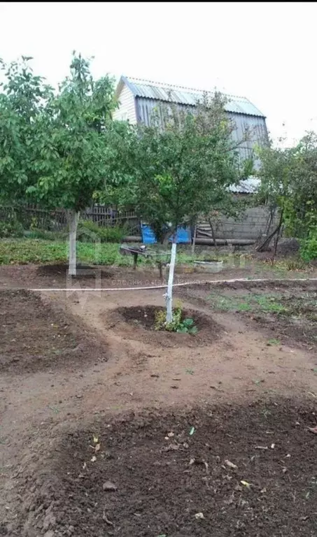 Дача Снт Горчичник Волгоград Купить