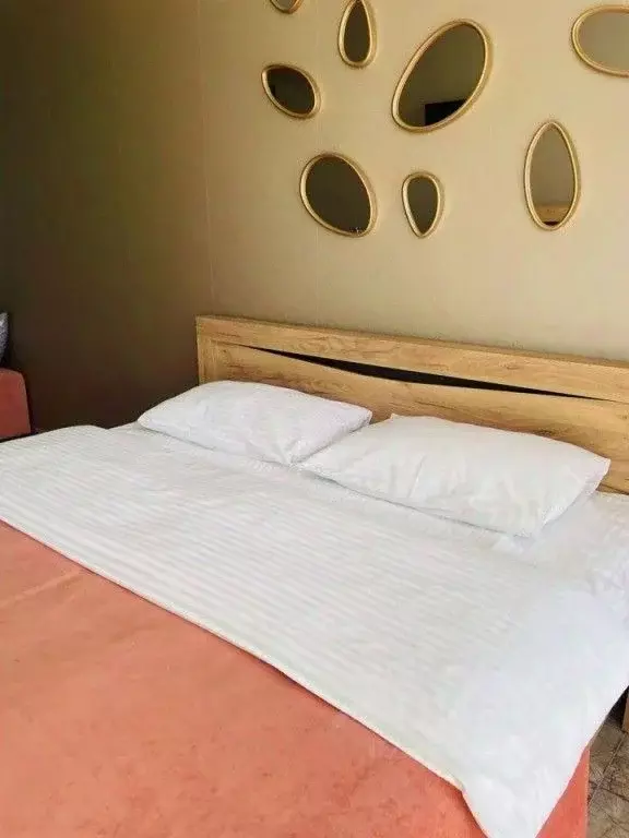 1-к кв. Севастополь ш. Фиолентовское, 134к5 (25.0 м) - Фото 2