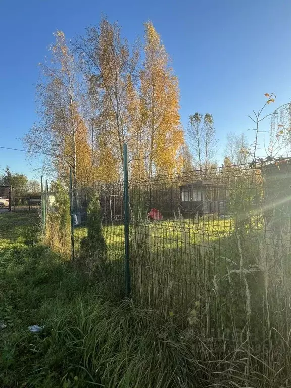 Участок в Санкт-Петербург Сергиево тер.,  (5.3 сот.) - Фото 1