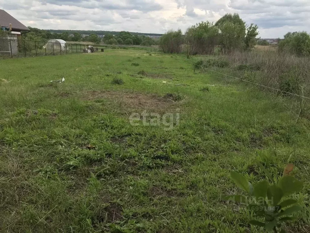 Участок в Белгородская область, Белгородский район, Беловское с/пос, ... - Фото 1