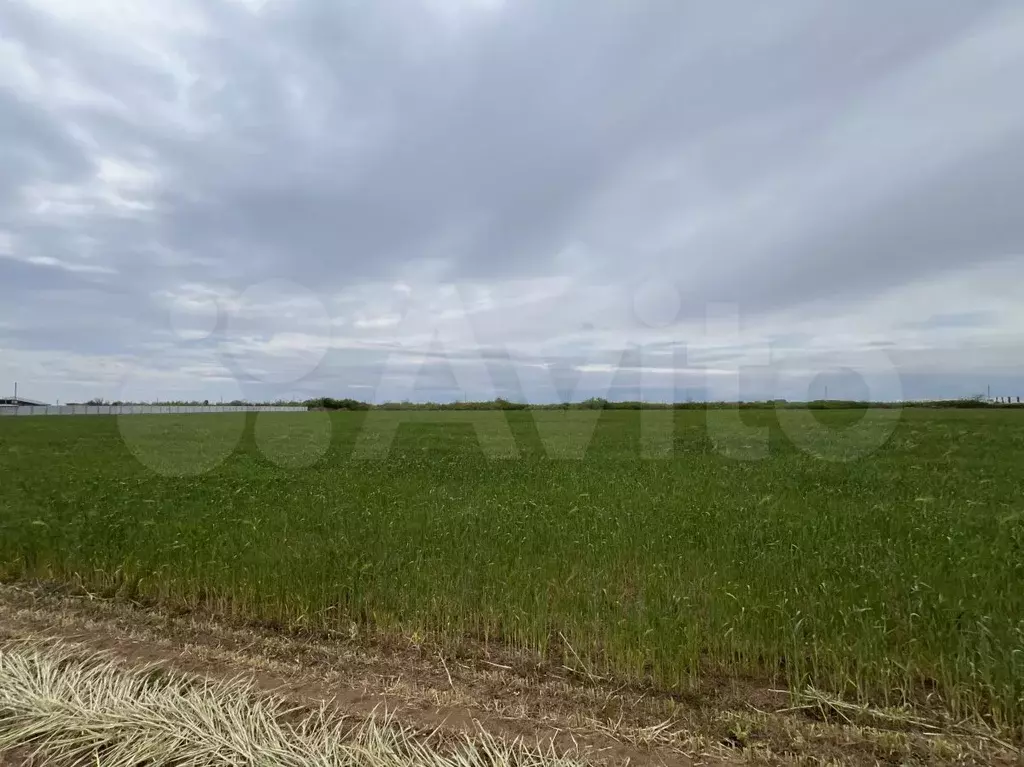 Участок 2 га (СНТ, ДНП) - Фото 1