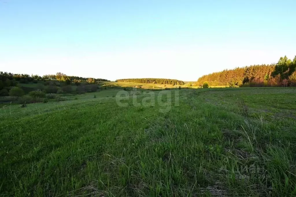 Участок в Татарстан, Лаишевский район, с. Среднее Девятово, ... - Фото 0