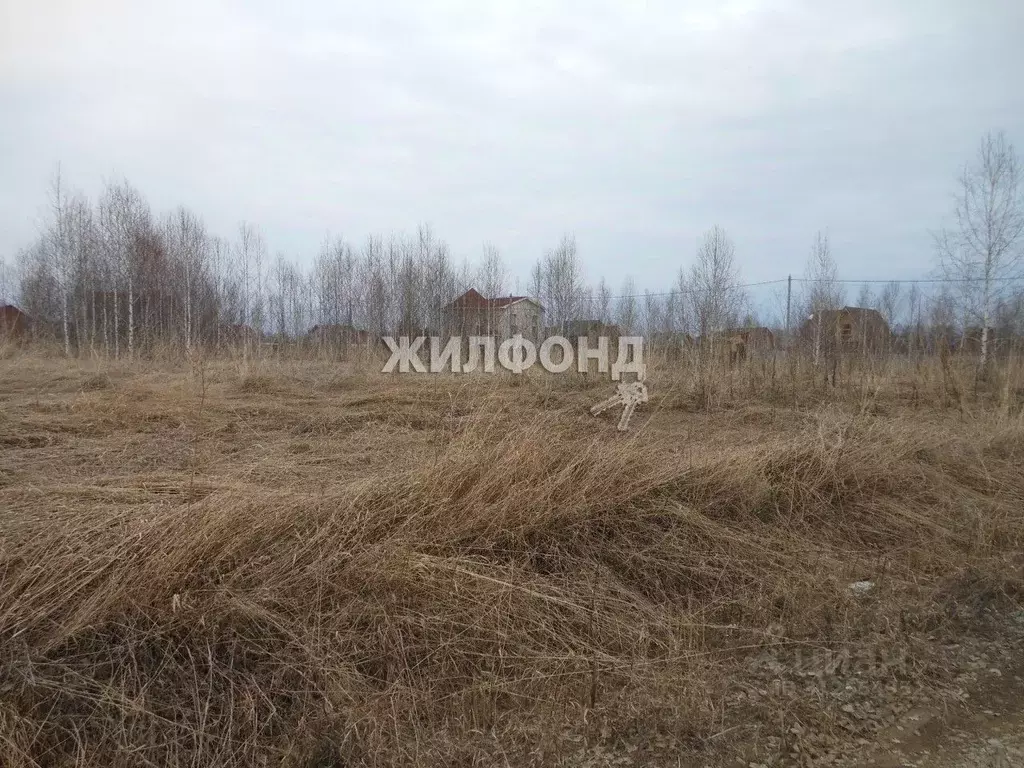 Участок в Новосибирская область, Новосибирский район, Морской ... - Фото 0